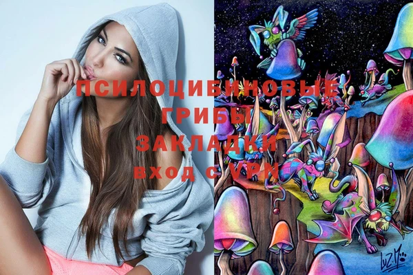 мет Вяземский