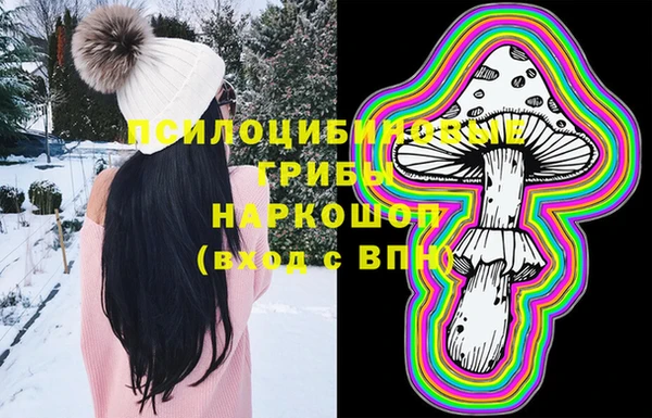мет Вяземский