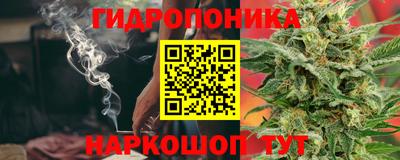 МДПВ Дубна
