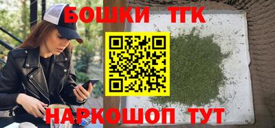 МДПВ Дубна