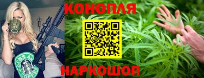 МДПВ Дубна