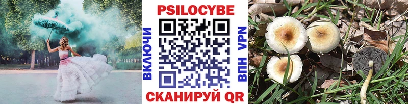 Псилоцибиновые грибы Magic Shrooms  Минеральные Воды 