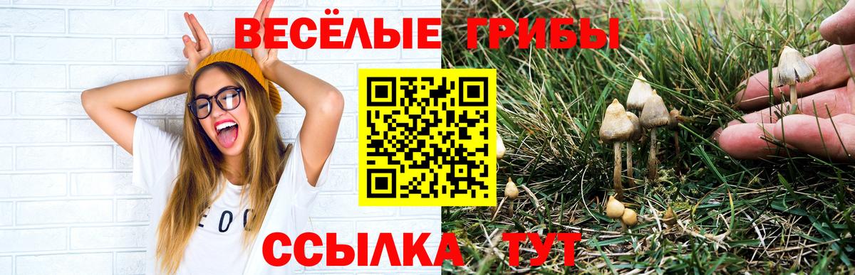 Галлюциногенные грибы GOLDEN TEACHER  Псилоцибиновые грибы MAGIC MUSHROOMS  Минеральные Воды 