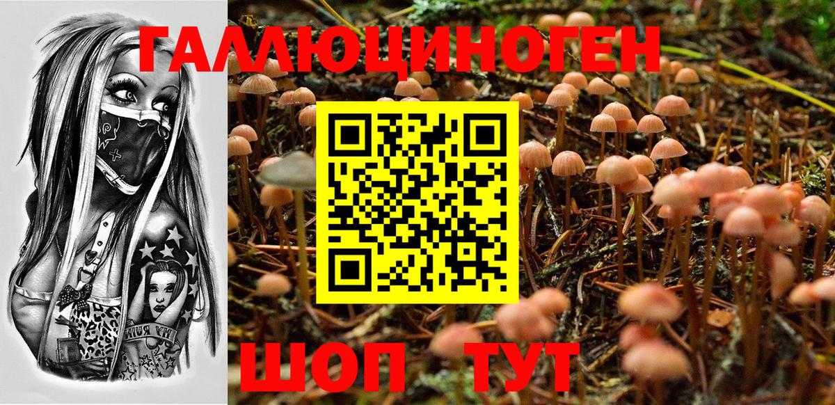 Минеральные Воды  Галлюциногенные грибы прущие грибы  Вход с VPN  Галлюциногенные грибы Cubensis 